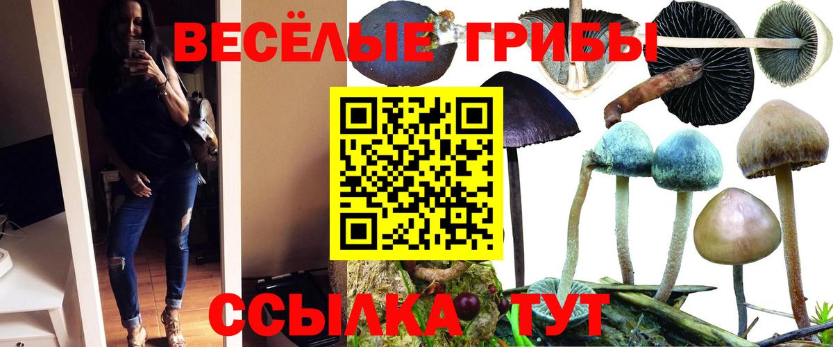 Галлюциногенные грибы GOLDEN TEACHER  Вход с VPN  Киреевск 